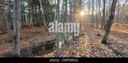 Un sentier panoramique serpentant à travers une forêt pittoresque avec des rayons de soleil coulant derrière elle Banque D'Images