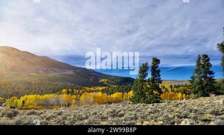 Une vue panoramique sur un paysage d'automne baigné de soleil Banque D'Images