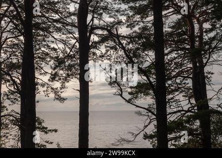 Photo de la mer Baltique sur la plage de Saulkrasti en Lettonie. Saulkrasti est une ville en Lettonie sur la côte est du golfe de Riga et la capitale o Banque D'Images