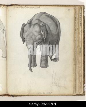 Young Elephant, Jan Brandes, dessin 1785 dessin noir -blanc d'un éléphant d'un an et un croquis au crayon de sa jambe et de son tronc. Avec inscription. Fait partie du carnet de croquis de Jan Brandes, dl. 2 (1808), p. 139. Ja papier. crayon. brosse à encre animaux à ressources partagées : éléphant Banque D'Images