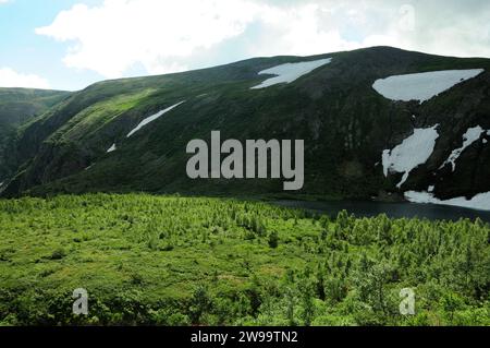 Buissons bas dans une vaste clairière au pied d'une haute colline avec des restes de neige sur les pentes sous un ciel ensoleillé d'été. Lacs Ivanovskie, Khakassia, si Banque D'Images