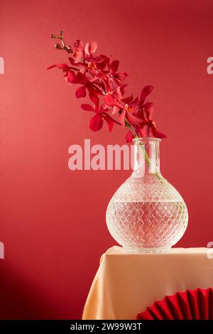 Une branche d'orchidée rouge est placée dans un vase en verre transparent sur fond rouge. Ornez l'espace avec des fleurs vibrantes. Thème Tet pour la publicité. Banque D'Images