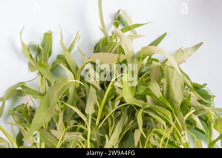 Vue de face, épinards d'eau ou Kangkung isolé sur fond blanc. Mise au point sélective Banque D'Images