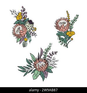 Colorful tropical protea flowers and leaves bouquets set Illustration de Vecteur