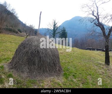 grande botte de foin pour sécher les coupes d'herbe au milieu du champ où une aiguille est cachée Banque D'Images