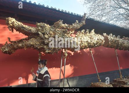 Hangzhou, Chine. 26 décembre 2023. Un ''dragon à feuilles tombant'' de 20 mètres de long est photographié dans une rue de Hangzhou, en Chine, le 26 décembre 2023. Le ''dragon des feuilles tombant'' est créé pour l'arrivée du nouvel an 2024 et de l'année lunaire chinoise traditionnelle du Dragon. (Photo Costfoto/NurPhoto) crédit : NurPhoto SRL/Alamy Live News Banque D'Images