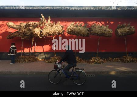 Hangzhou, Chine. 26 décembre 2023. Un ''dragon à feuilles tombant'' de 20 mètres de long est photographié dans une rue de Hangzhou, en Chine, le 26 décembre 2023. Le ''dragon des feuilles tombant'' est créé pour l'arrivée du nouvel an 2024 et de l'année lunaire chinoise traditionnelle du Dragon. (Photo Costfoto/NurPhoto) crédit : NurPhoto SRL/Alamy Live News Banque D'Images