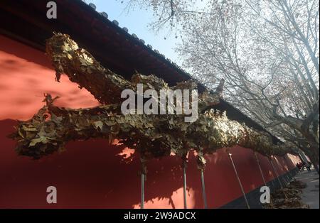 Hangzhou, Chine. 26 décembre 2023. Un ''dragon à feuilles tombant'' de 20 mètres de long est photographié dans une rue de Hangzhou, en Chine, le 26 décembre 2023. Le ''dragon des feuilles tombant'' est créé pour l'arrivée du nouvel an 2024 et de l'année lunaire chinoise traditionnelle du Dragon. (Photo Costfoto/NurPhoto) crédit : NurPhoto SRL/Alamy Live News Banque D'Images