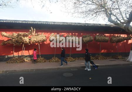 Hangzhou, Chine. 26 décembre 2023. Un ''dragon à feuilles tombant'' de 20 mètres de long est photographié dans une rue de Hangzhou, en Chine, le 26 décembre 2023. Le ''dragon des feuilles tombant'' est créé pour l'arrivée du nouvel an 2024 et de l'année lunaire chinoise traditionnelle du Dragon. (Photo Costfoto/NurPhoto) crédit : NurPhoto SRL/Alamy Live News Banque D'Images