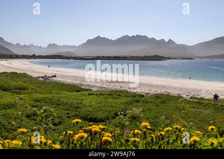 La lumière du soleil baigne la plage de Rambergstranda dans la baie de Jusnesvika dans les Lofoten, accentuant le contraste entre les prairies verdoyantes et la mer azur étincelante Banque D'Images