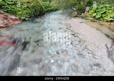 178 eau bleutée, rivière Bistrice qui se termine dans la mer Ionienne en aval de la source d'eau principale Blue Eye. Muzine-Finiq-Albanie. Banque D'Images