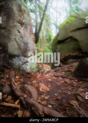 Beau paysage avec chemin entre deux grandes pierres au milieu d'une forêt d'automne brumeuse. Voyage fourmi tourisme. Banque D'Images