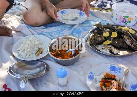 Manger du poisson frais pêché préparé en ragoût et viande grillée, détail des plats avec des fruits de mer et du riz servi sur une couverture à la plage. Banque D'Images