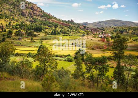 Paysage typique de Madagascar dans la région près de Tsiafahy, petites collines couvertes d'herbe verte et de buissons, maisons en argile rouge et rizières près.. Banque D'Images