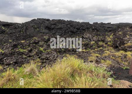AA roches de lave sur la rive de l'île de Pico, Açores, Portugal Banque D'Images