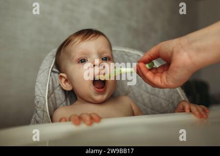 Un petit enfant mange de la purée de légumes. Maman nourrit le bébé. Banque D'Images