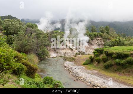 Fumerolles à Furnas, Sao Miguel, Açores Banque D'Images