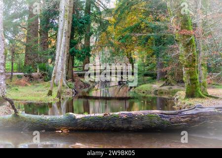 Rhinefield Bridge over Blackwater Stream, Ornamental Drive, Brockenhurst, New Forest, Hampshire, Uk Banque D'Images