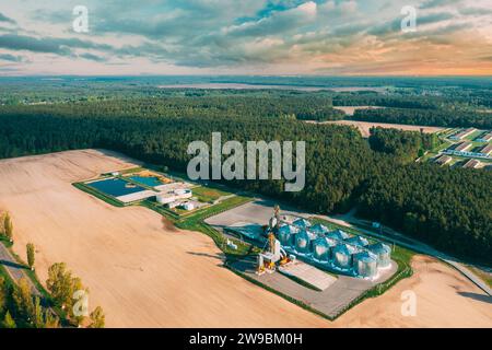 Vue aérienne en hauteur en haut Granary moderne, complexe de séchage de grain, silos commerciaux ou de graines dans le paysage rural de Sunny Spring.Silos de dessiccateur de maïs Banque D'Images