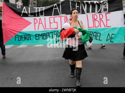 Mexico, Mexique. 26 décembre 2023. Femme qui a rejoint la cause des 43 étudiants disparus, portant une banderole sanglante représentant les bébés morts en Palestine, exigeant l'arrêt du génocide en Palestine. Crédit : Luis E Salgado/Alamy Live News Banque D'Images