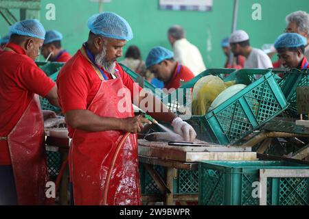 Salle de nettoyage au marché central aux poissons de Jeddah en Arabie Saoudite Banque D'Images