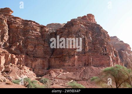 Tombes de lions creusées dans les falaises de roche rouge à Dadan à Alula Banque D'Images