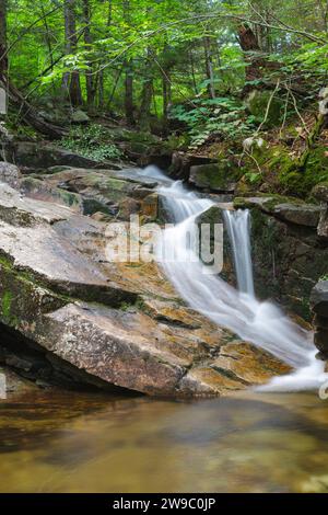 Louisville Brook sur le côté de la piste Attitash à Bartlett, New Hampshire ; ce sentier mène à Table Mountain. Banque D'Images