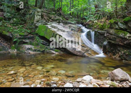 Louisville Brook sur le côté de la piste Attitash à Bartlett, New Hampshire ; ce sentier mène à Table Mountain. Banque D'Images