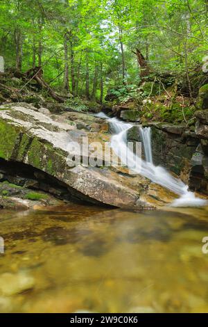 Louisville Brook sur le côté de la piste Attitash à Bartlett, New Hampshire ; ce sentier mène à Table Mountain. Banque D'Images