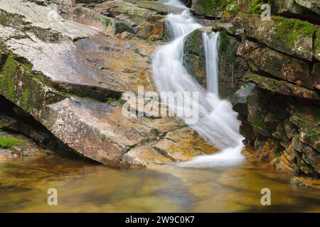 Louisville Brook sur le côté de la piste Attitash à Bartlett, New Hampshire ; ce sentier mène à Table Mountain. Banque D'Images