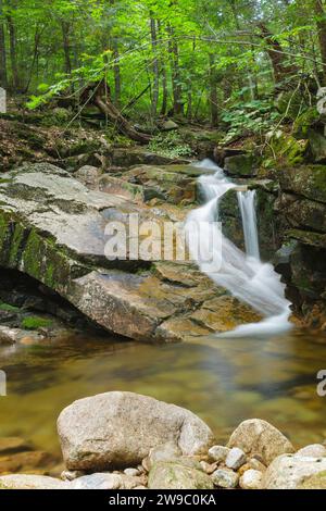 Louisville Brook sur le côté de la piste Attitash à Bartlett, New Hampshire ; ce sentier mène à Table Mountain. Banque D'Images