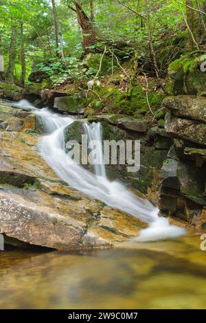 Louisville Brook sur le côté de la piste Attitash à Bartlett, New Hampshire ; ce sentier mène à Table Mountain. Banque D'Images