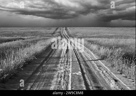 Une photographie en noir et blanc d'un chemin de terre couvert de neige à travers un champ vide avec des nuages d'orage se préparant à l'horizon Banque D'Images