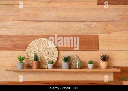 Étagère avec de belles succulentes sur mur en bois dans le salon Banque D'Images