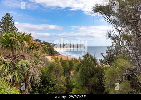 Sydney plages du nord littoral avec vue sur la plage de Warriewood ( près) et la plage de Mona Vale ( loin), Nouvelle-Galles du Sud, Australie Banque D'Images