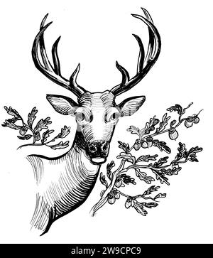 Tête de cerf. Dessin noir et blanc à l'encre Banque D'Images