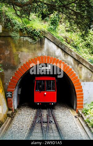 Une image d'un téléphérique ou d'un funiculaire sortant d'un tunnel à Wellington en Nouvelle-Zélande. La voiture est de couleur rouge et la scène a beaucoup de vie végétale verte Banque D'Images