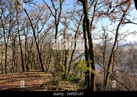 Forêt de chênes finissant de perdre leurs feuilles au début de l'hiver sur le sommet d'une falaise surplombant la rivière Dordogne à Limeuil en Périgord dans le Banque D'Images