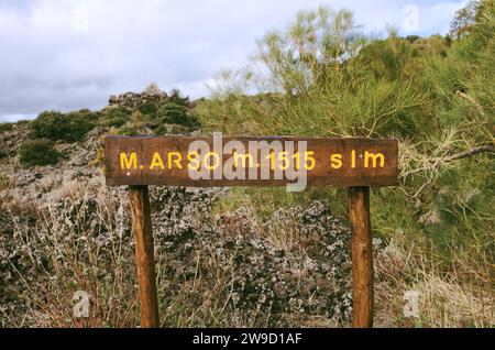 Panneau d'information en bois 'M. Arso M. 1515 slmm' dans Etna Park, Sicile, Italie Banque D'Images