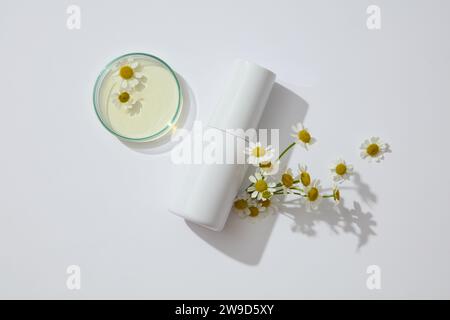 Bouteille cosmétique blanche sans étiquette décorée de fleurs fraîches et d'une boîte de Pétri contenant de l'essence de chamomilla sur fond blanc. Scen minimal Banque D'Images