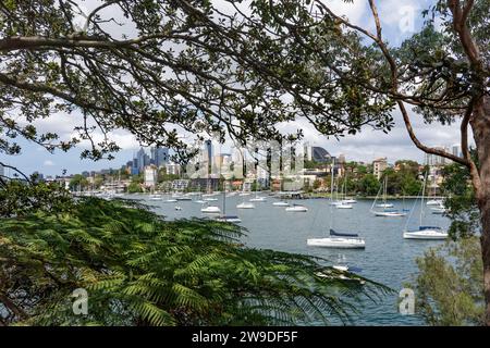 Bateaux amarrés à Neutral Bay, Sydney vue à travers les arbres et regardant vers les toits de la ville Banque D'Images