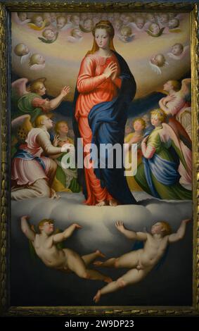 Bernardino Campi (1522-1591) Peintre italien. Assomption de la Vierge, 1568. Huile sur toile. De l'église de San Domenico à Crémone, Italie. Museo Civico Ala Ponzone. Cremona. Italie. Banque D'Images