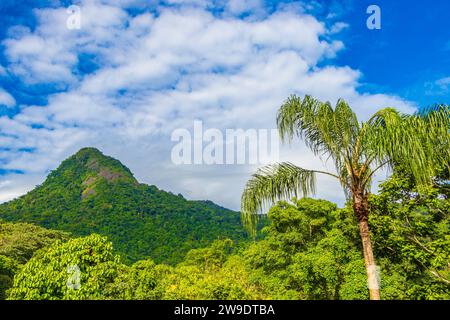 Pico do Parrot avec nuages sur Ilha Grande Angra dos Reis Rio de Janeiro Brésil. Banque D'Images