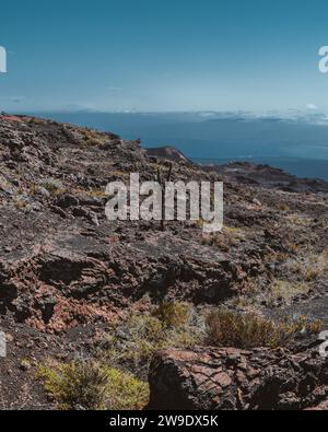 Terrain volcanique avec des cactus sur le volcan Chico, Isla Isabela dans les îles Galapagos, Équateur, sous un ciel bleu clair. Banque D'Images