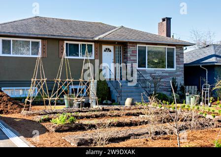 Pousses vertes sur les patchs de jardin en face de la maison résidentielle Banque D'Images