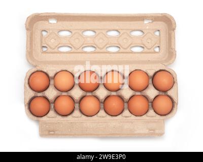 Vue de dessus des oeufs bruns dans le carton d'oeufs sur fond isolé blanc Banque D'Images