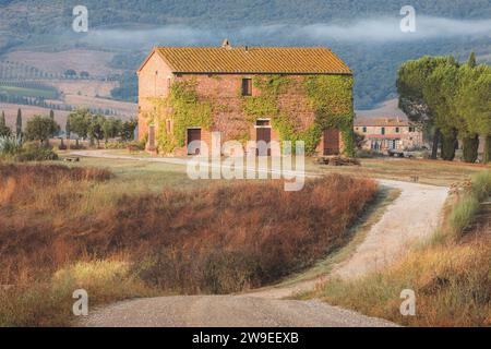 Val d'Orcia, Italie - 31 août 2023 : une route rurale mène à une ancienne ferme toscane couverte de lierre verte dans la campagne pittoresque du Val d'Or Banque D'Images