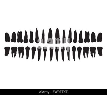 Silhouettes de dent, clipart dentaire, paquet de vecteur de monogramme de dent, battement de coeur de dent, monogramme de division dentaire, cadre de nom de division de dent, clipart de monogramme dentaire Illustration de Vecteur