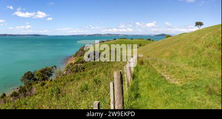 Paysage avec pâturage, clôture et sentier de randonnée sur une ferme en activité dans le parc régional Duder, Île du Nord, Nouvelle-Zélande Banque D'Images