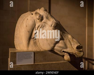 The controversé, les marbres d'Elgin, les galeries du Parthénon, British Museum, Londres, Angleterre, Royaume-Uni, GB. Banque D'Images